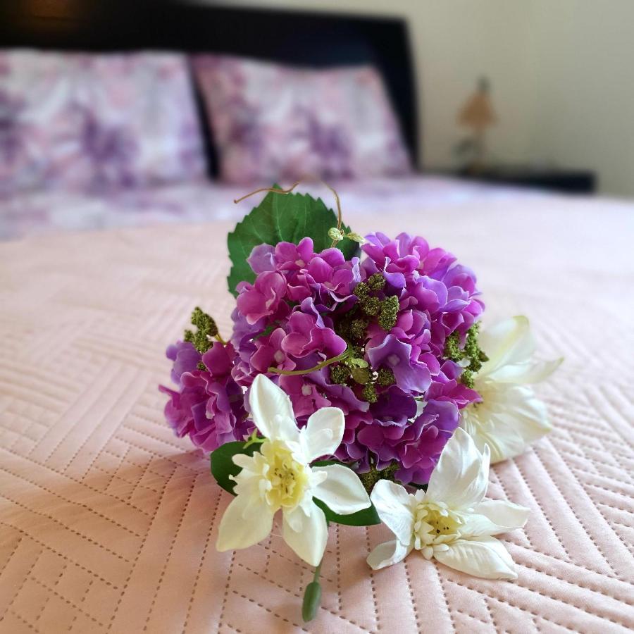 Willa Owls Nest Townhouse Pafos Zewnętrze zdjęcie