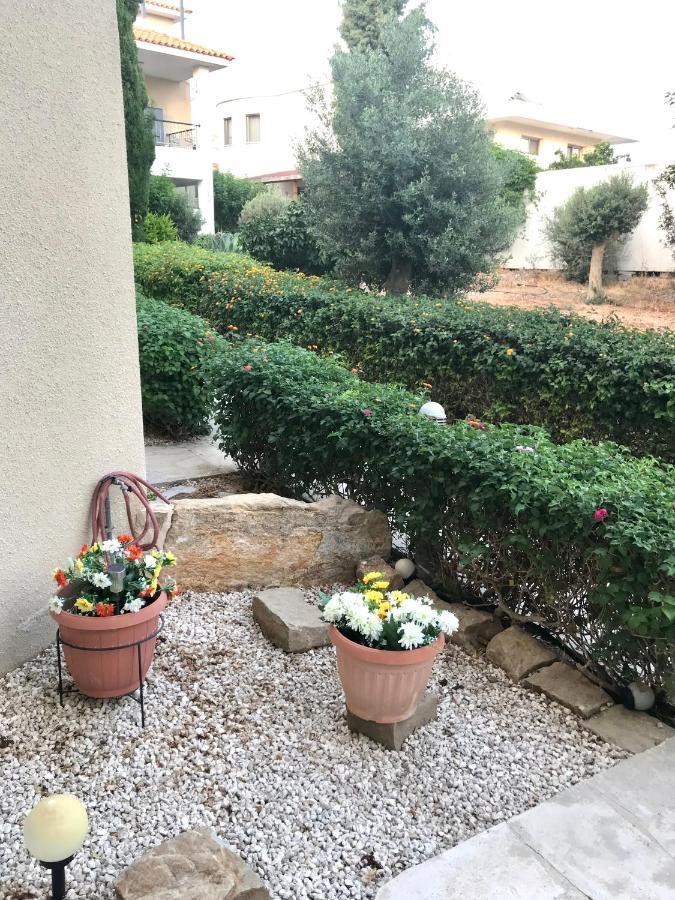 Willa Owls Nest Townhouse Pafos Zewnętrze zdjęcie